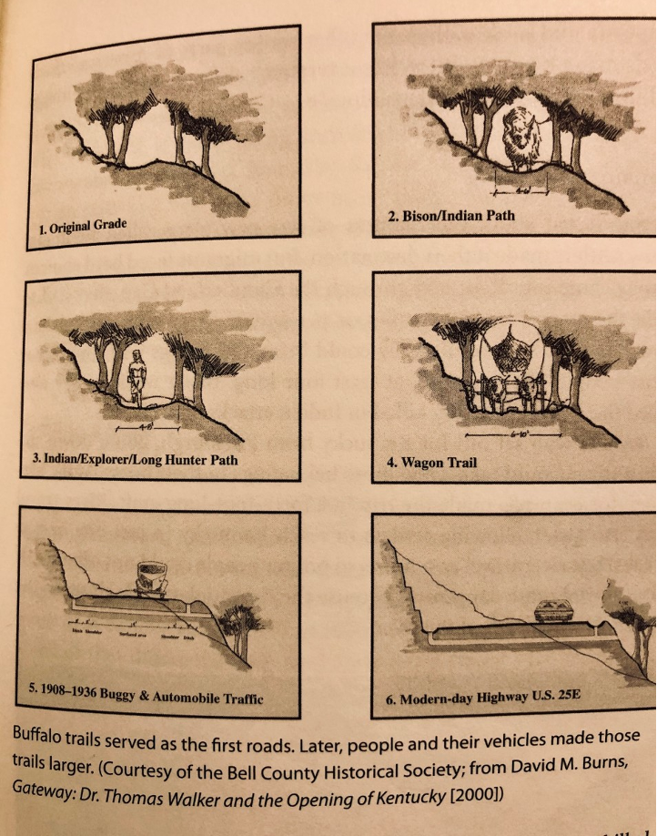 Buffalo Trails as the First Roads